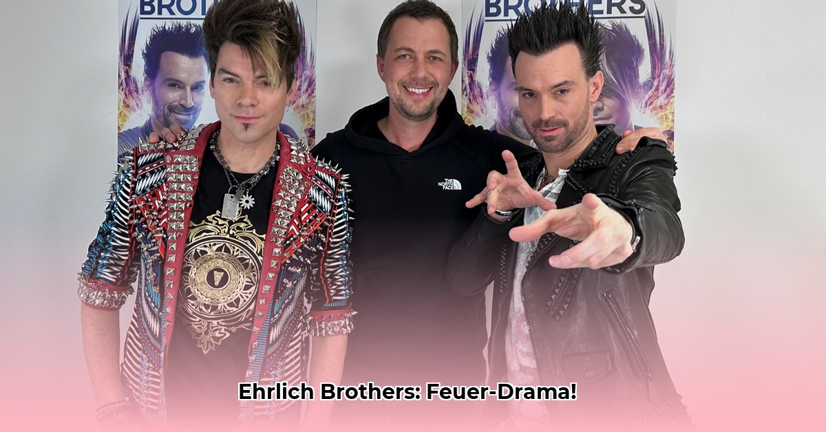 ehrlich-brothers-unfall
